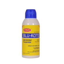 Load image into Gallery viewer, Dr. Naylor Blu-Kote Antiseptic Aerosol Spray, 128g