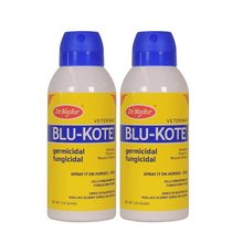 Load image into Gallery viewer, Dr. Naylor Blu-Kote Aerosol (128 Gram) - Fast Drying Antiseptic Wound Dressing Pack of 2