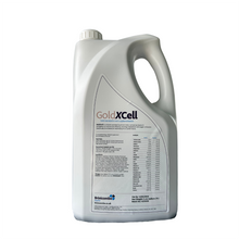 Load image into Gallery viewer, GoldXCell Liquid Iron Supplement for Horses - Vitamin Enriched Tonic with B Vitamins, Selenium &amp; Seaweed Extract - Supports Energy, Oxygen Utilization &amp; Performance - 169 oz - 5Ltr
