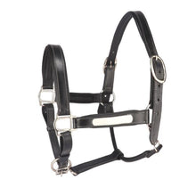 Load image into Gallery viewer, Anatomical Leather Head Collar /Halter With Removal Name Plate Brown Black for horse - 4123
