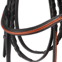 Load image into Gallery viewer, Braided Cavesson Noseband Bridle
