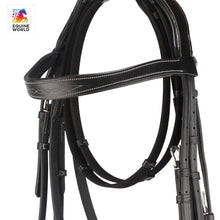 Load image into Gallery viewer, Anatomical Flash Noseband Bridle - 161-ECFL
