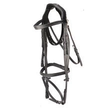 Load image into Gallery viewer, Anatomical Flash Noseband Bridle
