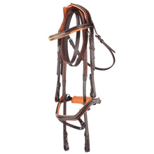 Load image into Gallery viewer, Anatomical Crank Flash Noseband Bridle
