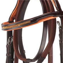 Load image into Gallery viewer, Anatomical Crank Flash Noseband Bridle
