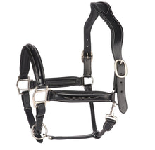 Load image into Gallery viewer, Italian Leather Fancy Stitched Halter
