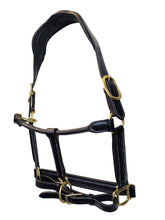 Load image into Gallery viewer, Italian Leather Fancy Stitched Halter
