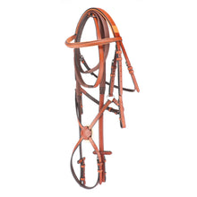 Load image into Gallery viewer, Grackle Noseband Bridle With Reins Premium Leathe
