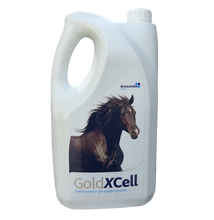 Load image into Gallery viewer, GoldXCell Liquid Iron Supplement for Horses - Vitamin Enriched Tonic with B Vitamins, Selenium &amp; Seaweed Extract - Supports Energy, Oxygen Utilization &amp; Performance - 5Ltr
