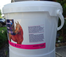 Load image into Gallery viewer, Think Pink Digestive Supplement for Horses - Probiotic Gut Health Support with Live Yeast &amp; Linseed Oil - Promotes Digestion, Condition &amp; Coat - 2kg
