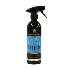 Load image into Gallery viewer, Carr &amp; Day &amp; Martin Canter Coat Shine Conditioner Spray
