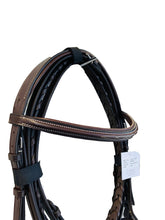 Load image into Gallery viewer, Equestrian Horses Bridle With Lace Reins Premium Leather -103-CSP
