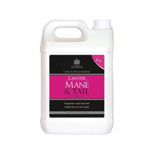 Load image into Gallery viewer, Canter Mane &amp; Tail Conditioner - Carr &amp; Day &amp; Martin
