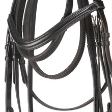 Load image into Gallery viewer, Bridle With Free Reins Handcrafted from Italian Leather for Horse - 2106-IE
